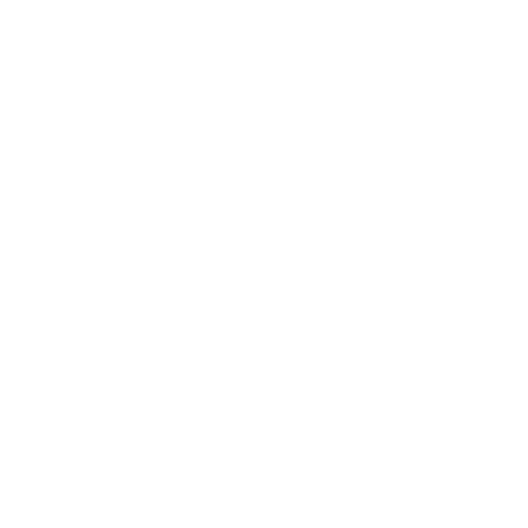 light logo